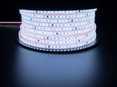 LED Strip - Velvalux - 50 Meter - Helder.Koud Wit 6000K - Dimbaar - Waterdicht IP67 - 96000 Lumen - 6000 LEDs - Directe Aansluiting op Netstroom - Werkt zonder Driver