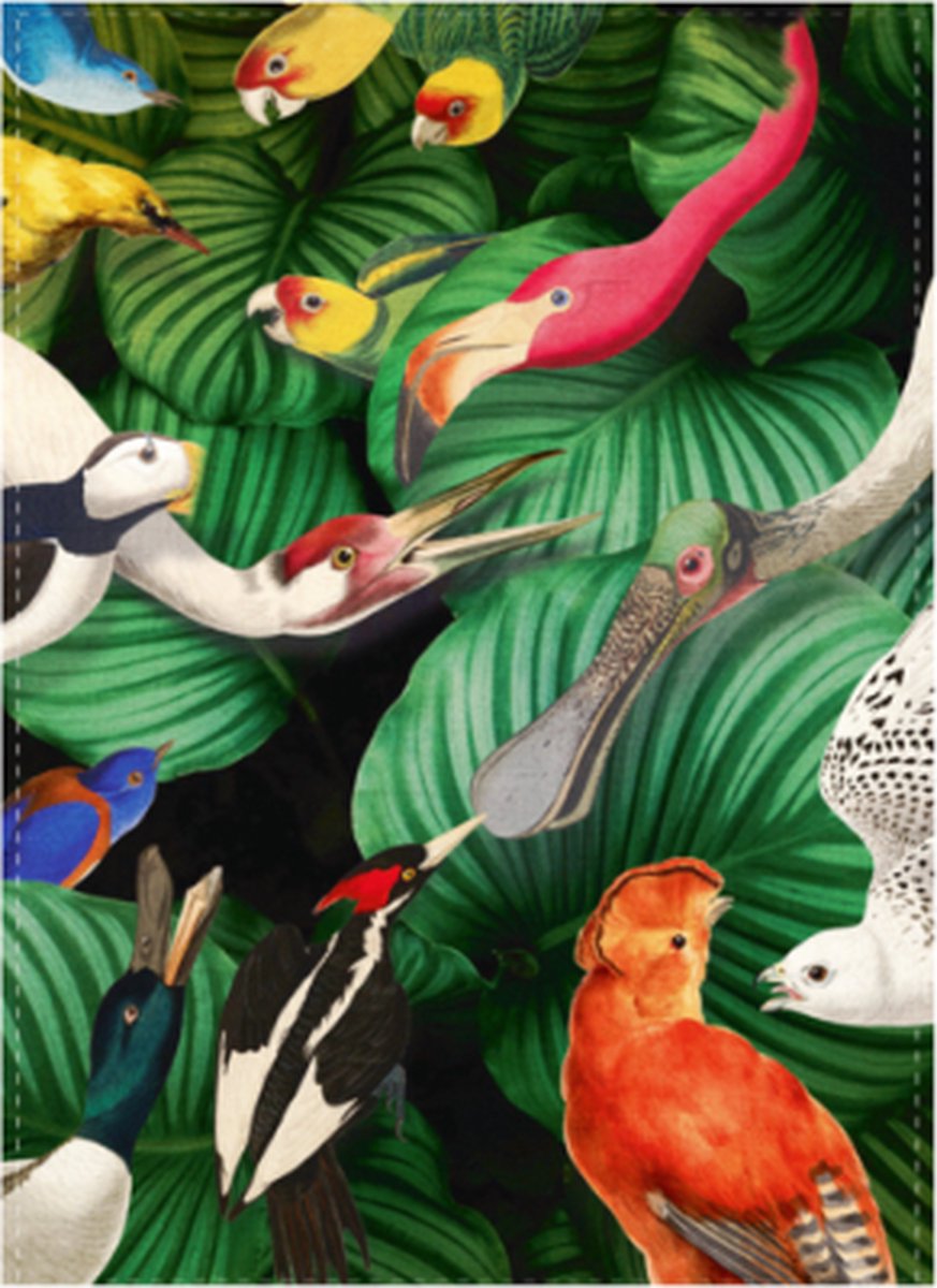 Theedoek Vogelpracht Teylers museum 50 x 70 cm