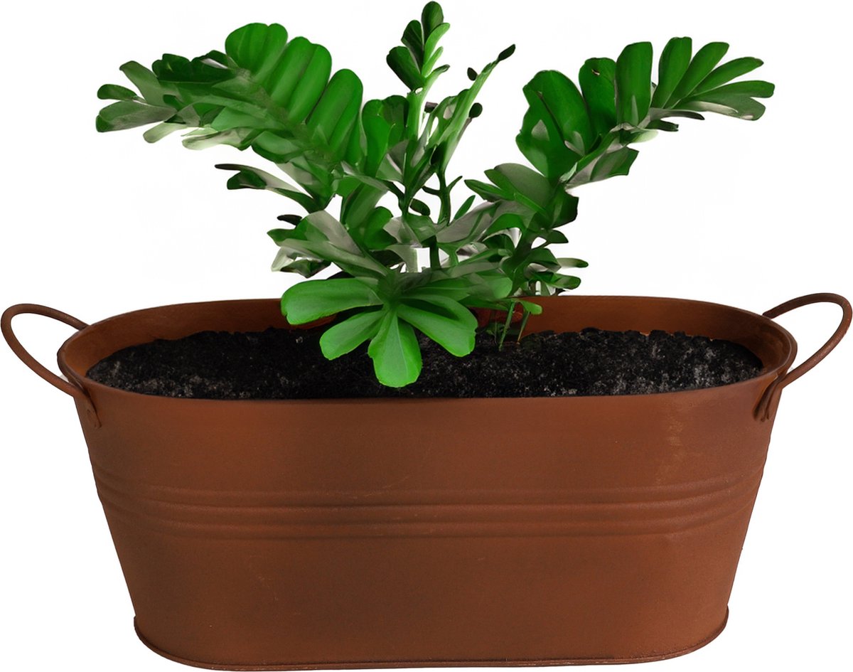 Goedkoopste Sunnydays Teil/plantenpot/bloempot - zink - roestbruin - L34 x D12 x H13.5 cm