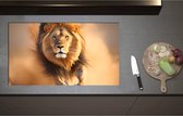 Inductieplaat Beschermer - Aanstormende Mannetjes Leeuw door het Afrikaanse Landschap - 90x52 cm - 2 mm Dik - Inductie Beschermer - Bescherming Inductiekookplaat - Kookplaat Beschermer van Zwart Vinyl