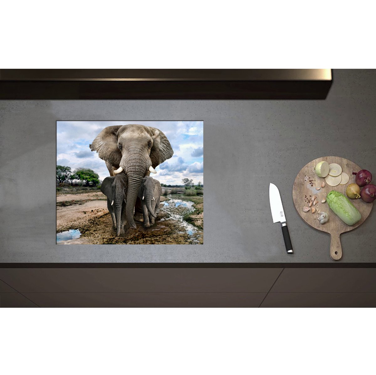 Inductieplaat Beschermer - Aankijkende Olifant met Jongen in Moerassig Landschap - 59x50 cm - 2 mm Dik - Inductie Beschermer - Bescherming Inductiekookplaat - Kookplaat Beschermer van Wit Vinyl