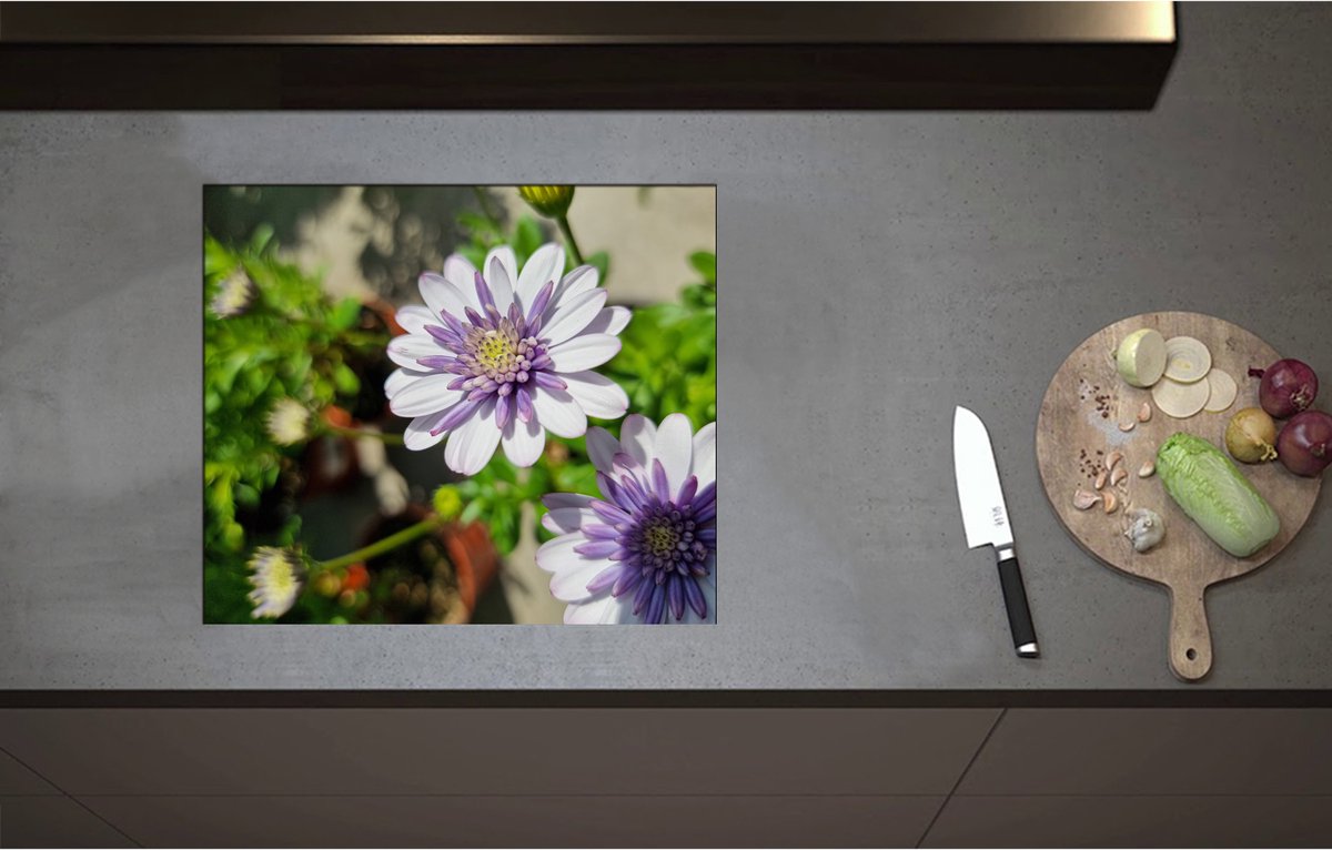 Inductieplaat Beschermer - African Daisy Bloemen Wit met Paars in Bloemenpot - 58x50 cm - 2 mm Dik - Inductie Beschermer - Bescherming Inductiekookplaat - Kookplaat Beschermer van Zwart Vinyl