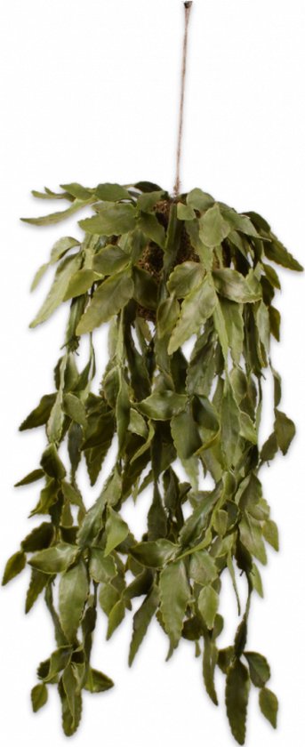 Silk-ka Kunstplant voor Binnen Succulent Hang Groen 63 cm