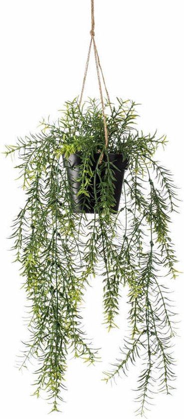 Emerald kunstplant/hangplant - Asparagus - groen - 50 cm lang - Levensechte kunstplanten