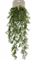 Emerald kunstplant/hangplant - Buxus - groen - 75 cm lang - Levensechte kunstplanten
