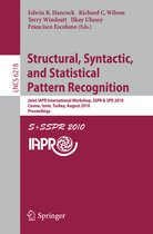 Structural Syntactic and Statistical Pattern Recognition