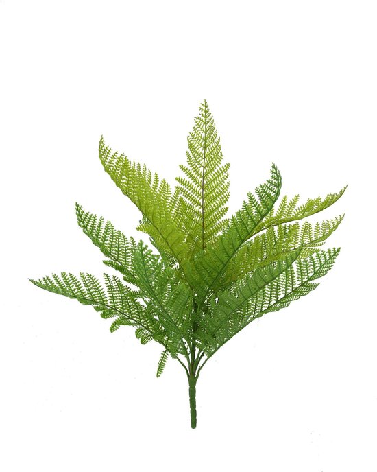 Wijfjesvaren tweekleurig - Athyrium - Kunstplant - ⌀ 32 cm