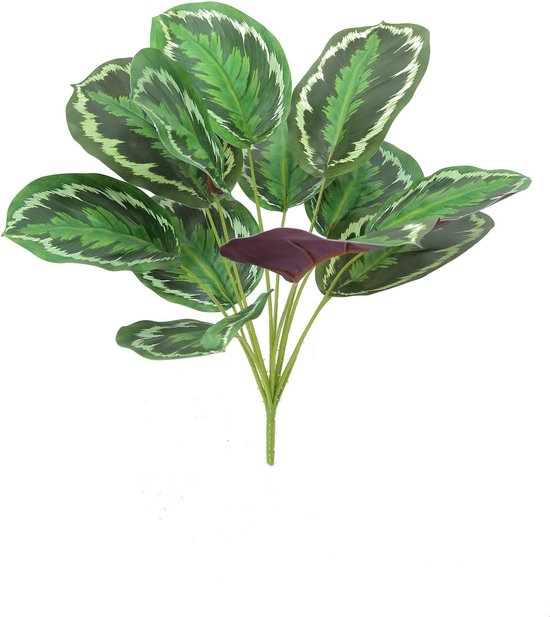 Pauwenplant - Calathea Roseopicta - Kunstplant - ø 45 cm