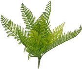 Wijfjesvaren - Athyrium - Kunstplant - ⌀ 32 cm