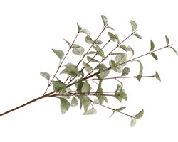 DK Design Kunstbloem Eucalyptus tak Silk - 72 cm - groen - losse steel - Kunst zijdebloemen