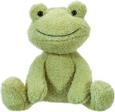 Fluwelen Kikker Knuffel 22 cm - Zacht Groen Pluche Speelgoed voor Kinderen en Baby's - Ideaal voor Knuffelen, Spelen en Meenemen