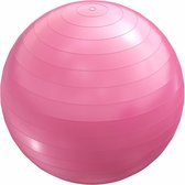 Ballon de Fitness Gorilla Sports rose 65 cm (avec pompe pratique)