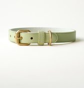 Wiggled Hondenhalsband - Vegan leer - Maat M (32.5cm - 43cm nek en 2 cm breed) - Trendy en hip - Bijpassende riem mogelijk - Middelgrote hond - Groen