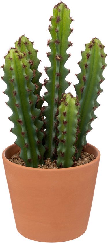 Atmosphera Plante Artificielle Alicante - Cactus avec pot - Ø12xH30cm - Vert