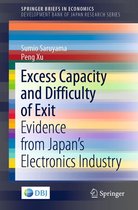 SpringerBriefs in Economics - Excess Capacity and Difficulty of Exit
