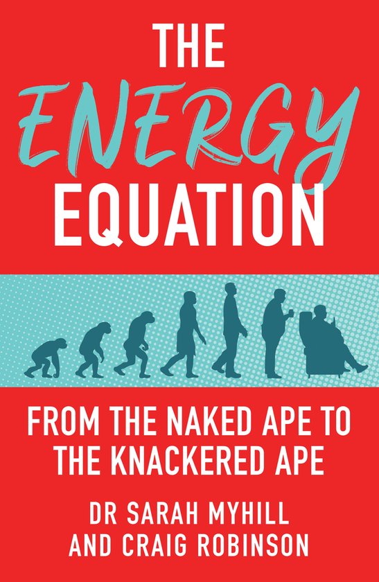 The Energy Equation - cover