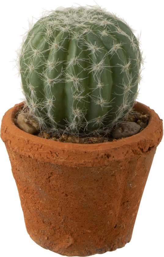 J-Line plant Cactus Rond In Pot - kunststof - groen