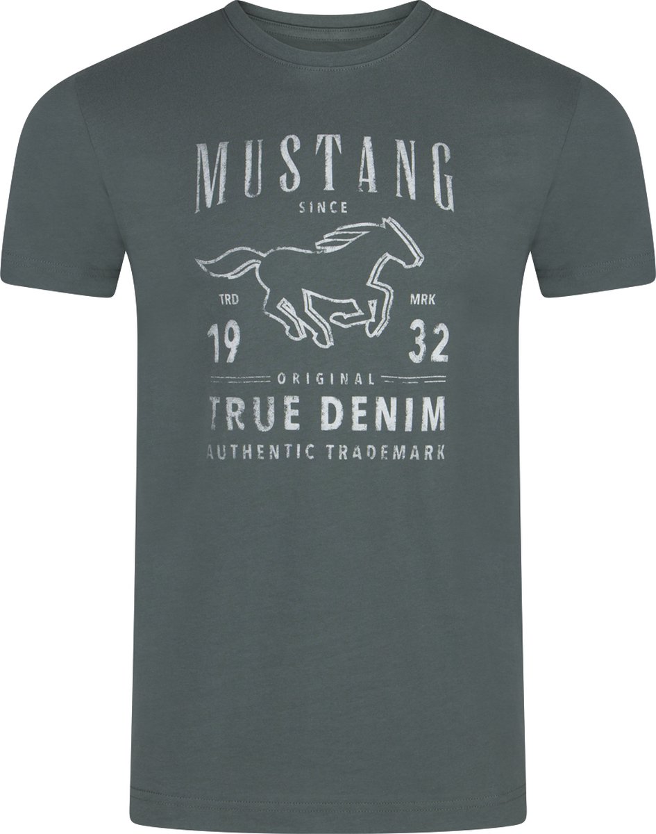 Mustang Heren T-Shirt Basic Print Tee regular fit Groen 3XL Ronde Hals Volwassenen Opdruk Print Shirts