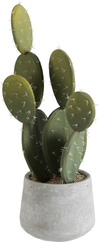 J-Line plant Cactus + Pot - kunststof/cement - groen - small