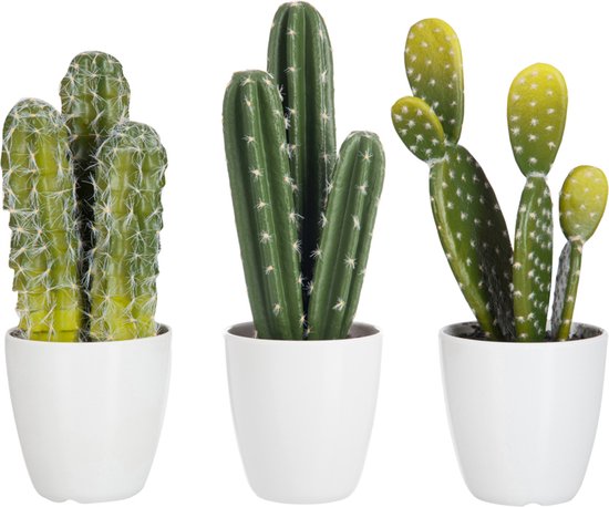 J-Line plant Cactus + Pot - kunststof - groen/melamine - wit - large - 3 stuks