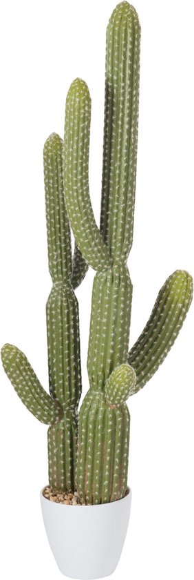 J-Line Cactus + Pot Plastique Vert/Melamine Blanc Large