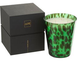 J-Line geurkaars Noa - Sandalwood - glas - goen - large - 95U
