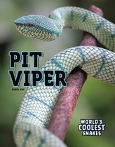World's Coolest Snakes - Pit Viper