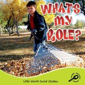 Little World Social Studies - What's My Role?
