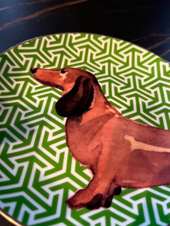 Teckel - assiette - chien - porcelaine - assiette petit-déjeuner - vert - or - imprimé teckel
