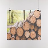 Poster Hout, A1, Sunaps posterpapier