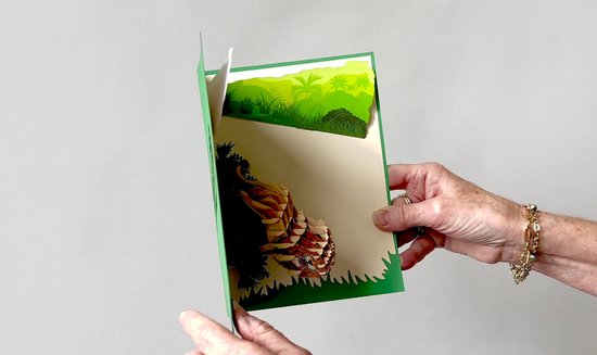 Goed voor camera, geweldige 3D pop-up verjaardagskaart of wenskaart voor fotografen, cadeaubon voor fotoshoot, fotowerkplaats T23
