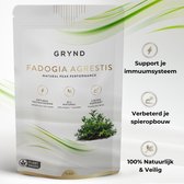 Fadogia Agrestis 4-Pack - Testosterone Booster - Libido Verhogend - 60 Capsules - Alternatief voor Tongkat Ali