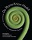 E-book
