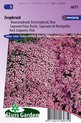 Sluis Garden - Zeepkruid Rose-Pink (Saponaria)