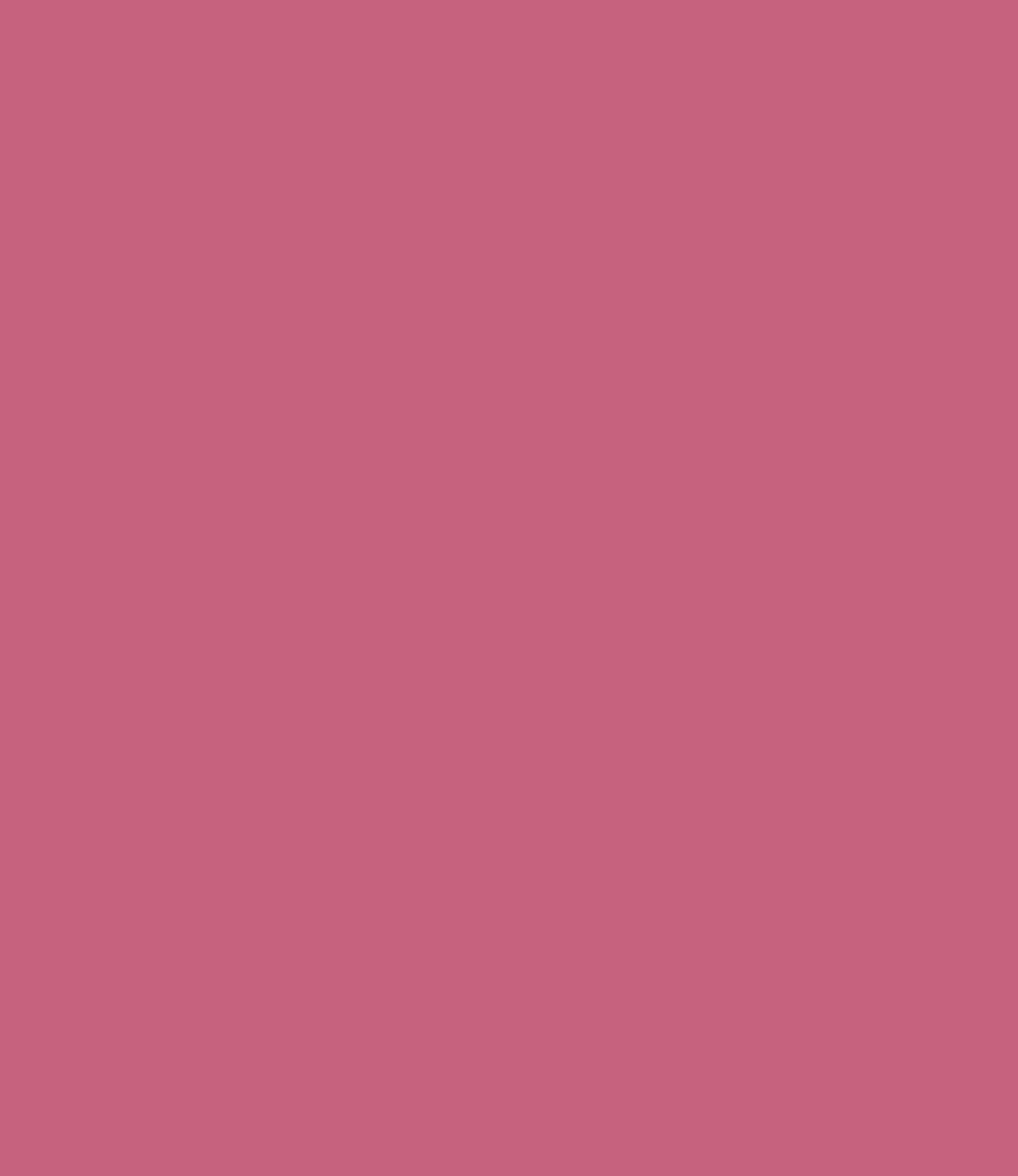 Carte Colori Calcare Kalkverf Pink CC050 2,5 Liter