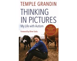 Thinking in Pictures