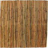 Bamboescherm 180 x 180 cm - Naturel | (H)180 x (B)180 cm