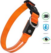 Led Halsband - Honden - Lichtgevend - USB oplaadbaar - Nachtlampje - 3 verschillende standen - Veiligheid - Waterproof - Waterdicht - Verstelbaar - Oranje- Maat M