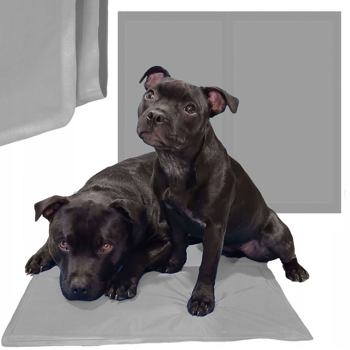 Springos Koelmat Hond | Actieve Verkoelende Gel | 65 x 50 cm | Grijs