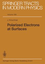 Polarized Electrons at Surfaces