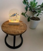 Schildpadden nachtlampje baby/kinderkamer - led lamp