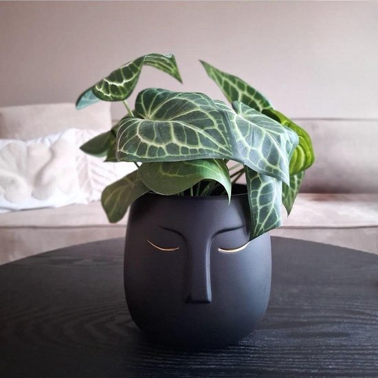 Tymar Grote bloempotten met poten, grote bloempot met poten, bloempot groot, bloempot mat, plantenbak voor buiten en binnen (2-pack), beton antraciet, hoogte 36,5 cm/ø 20 cm Tymar Grote bloempotten met poten, grote bloempot met poten, bloempot groot, bloempot mat, plantenbak voor buiten en binnen (2-pack), beton antraciet, hoogte 36,5 cm/ø 20 cm