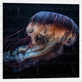 Muursticker - Kwal - Oceaan - Zee - Onderwaterleven - 50x50 cm Foto op Muursticker
