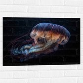 Muursticker - Kwal - Oceaan - Zee - Onderwaterleven - 75x50 cm Foto op Muursticker