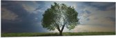 Vlag - Landschap - Natuur - Boom - 150x50 cm Foto op Polyester Vlag