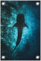 Tuinposter Haai onder Water 80x120cm- Foto op Tuinposter (wanddecoratie voor buiten en binnen)