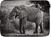Laptophoes 13 inch 34x24 cm - Olifanten - Macbook & Laptop sleeve Profiel van een olifant in zwart-wit - Laptop hoes met foto