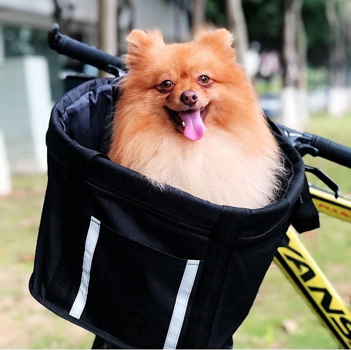 Panier Vélo Pliable Avant – 34x24x8 Cm, Oxford Imperméable, Adaptateur Guidon, Amovible – Pour Courses, Chien, Pique-nique