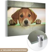 MuchoWow® Glasschilderij 120x80 cm - Schilderij acrylglas - Een puppy kijkt door een hek heen - Foto op glas - Schilderijen