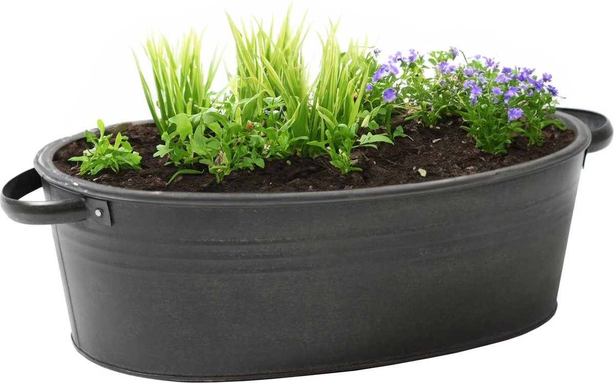 Goedkoopste Mega Collections Teil/plantenpot/bloempot Farmer - ovaal - zink - zwart - L33 x D23 X H14 cm